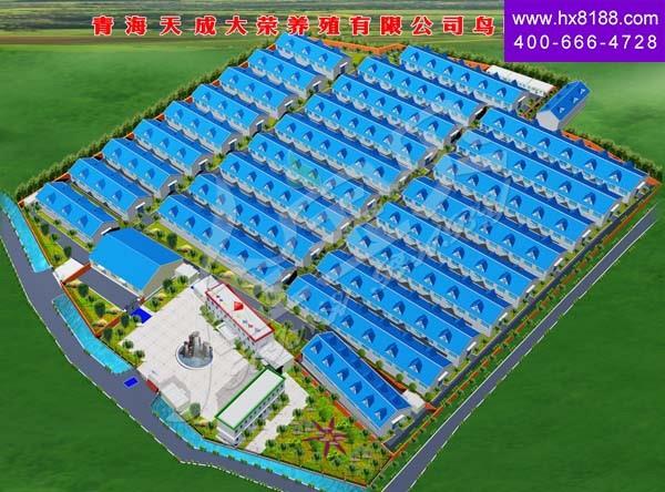 青v天成q出?0000头? width=