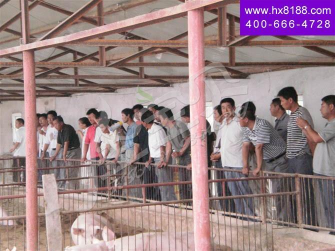 吉林通榆喜vȝ场金宝? width=