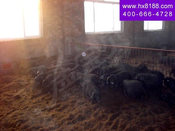 天|益利来养D有限公司? width=