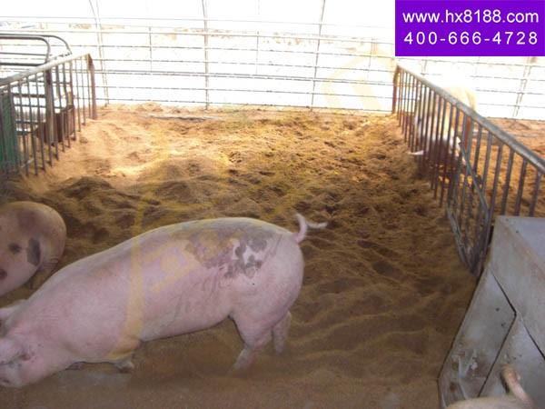 I军基地应用金宝贝干撒? width=