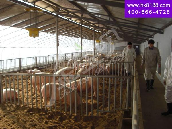 某军后勤部金宝贝q撒式? width=