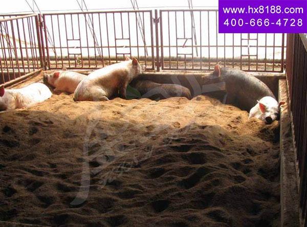 北京某局使用金宝贝干撒? width=